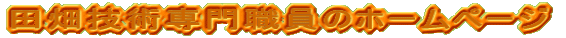 cZpẼz[y[W